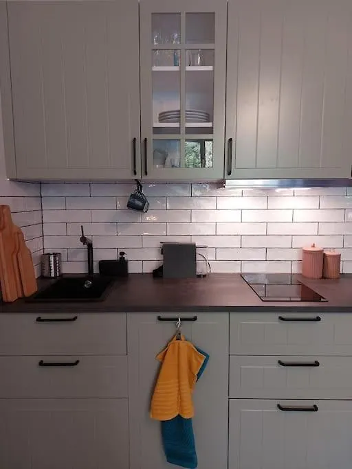 Mountain Lodge Studio Forset View Szklarska Poręba Apartament